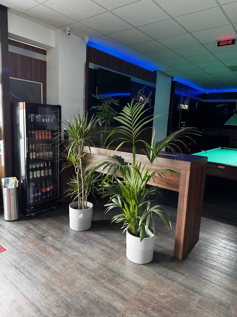 Billard Playing Area